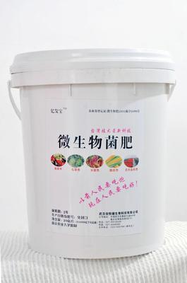 绿色希望，从“亿发宝”生物肥料开始——为瓜果蔬菜与花卉披上生长护航衣
